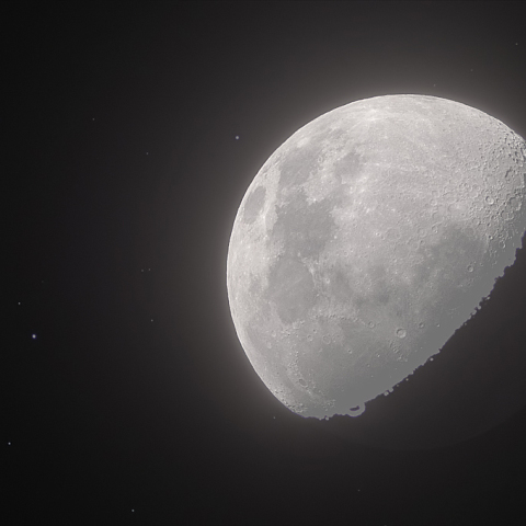 2010.01.25 すばる食