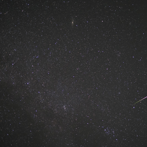 ペルセ群 蓼科山七合目