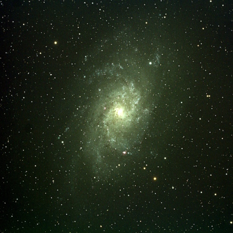 M33
