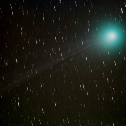 ラヴジョイ彗星