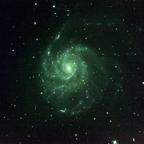 M101