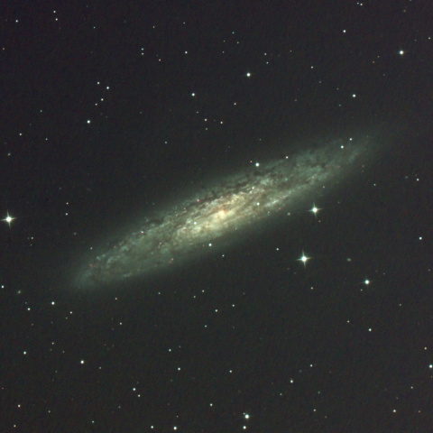 NGC253