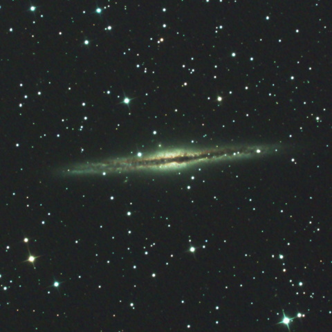 NGC891