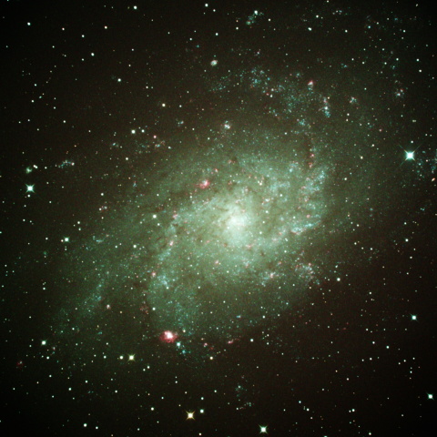 M33