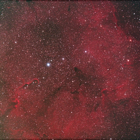 IC1396 ガーネットスター