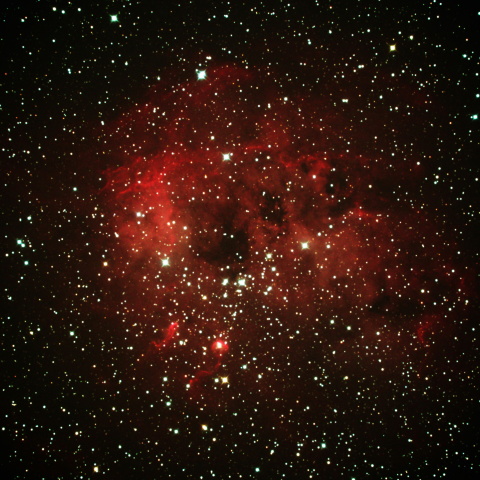 おたまじゃくし星雲