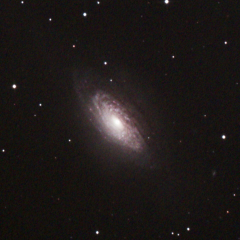 NGC3521