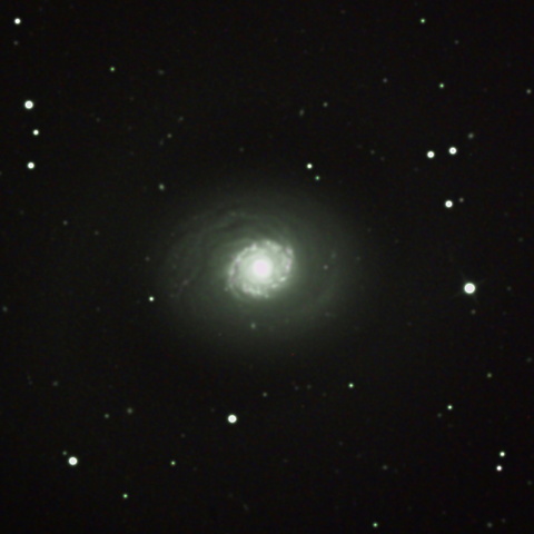 M94