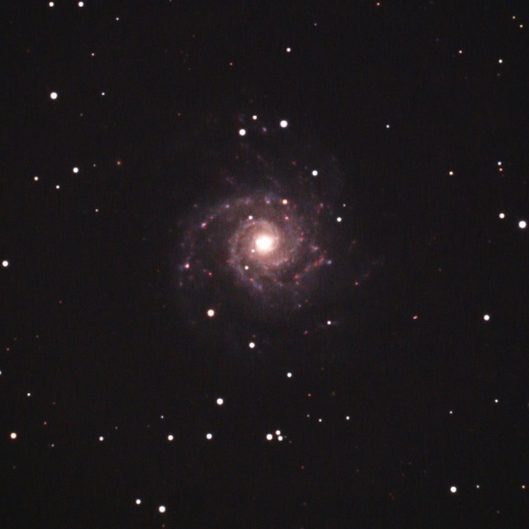 M74
