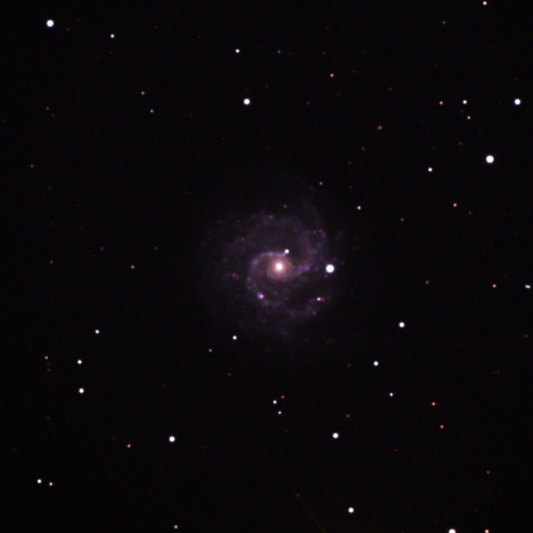 NGC3184