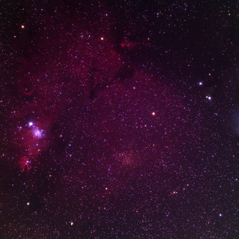 クリスマスツリー星団付近