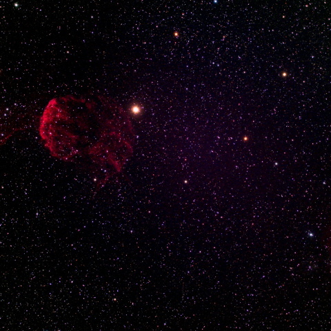 くらげ星雲～モンキーフェイス星雲