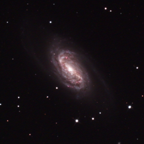NGC2903