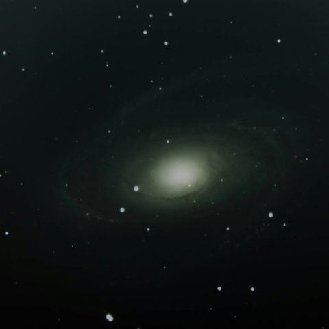  M81