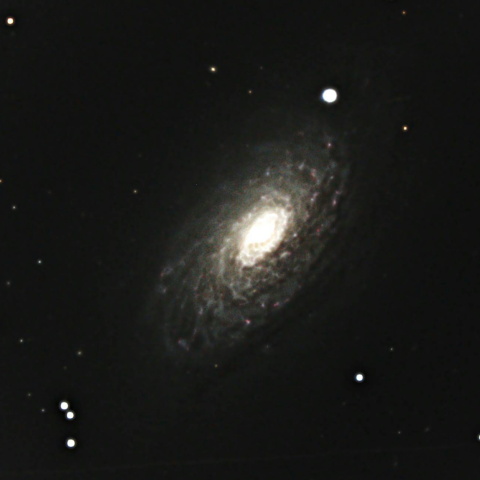 M63