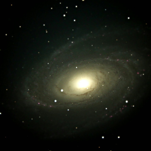 M81