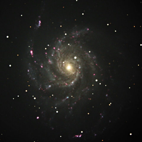 M101