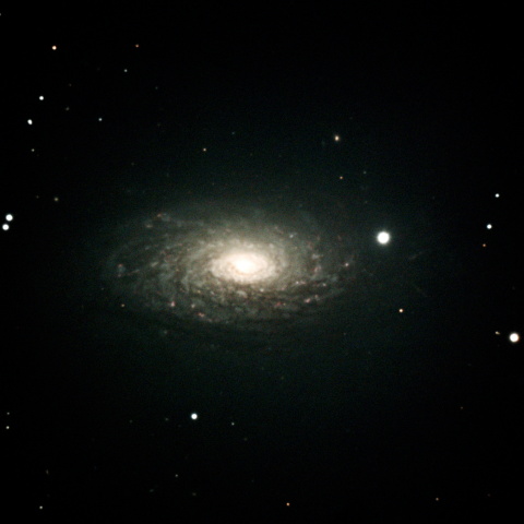 M63