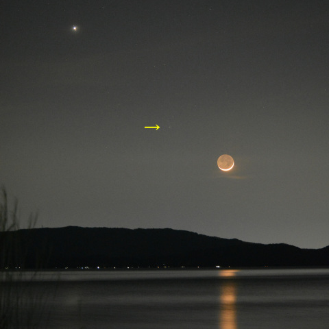 木星とポン・ブルックス彗星と月20240410