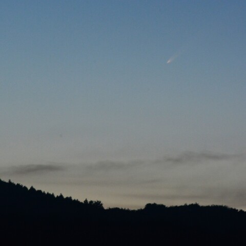 紫金山アトラス彗星20241001