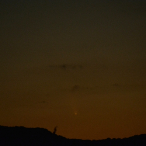 紫金山アトラス彗星20241012