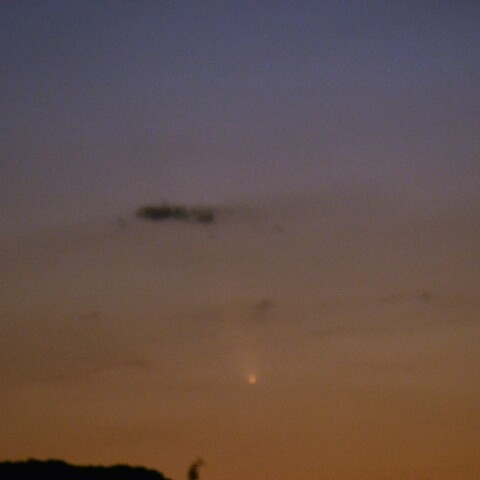 紫金山アトラス彗星20241012