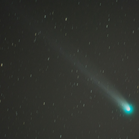 ﾗﾌﾞｼﾞｮｲ彗星