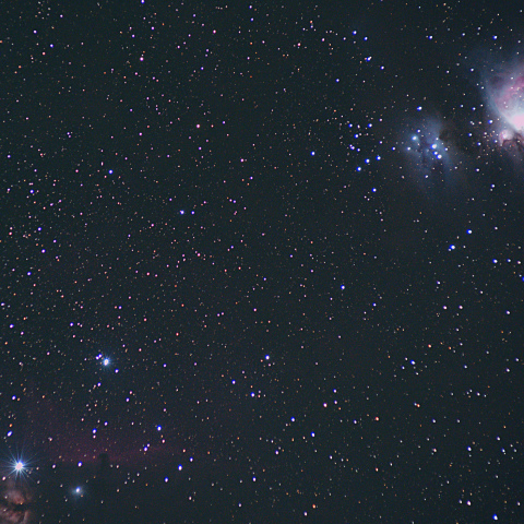 馬頭星雲とM42