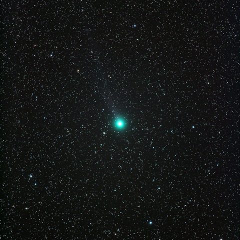 ラブジョイ彗星