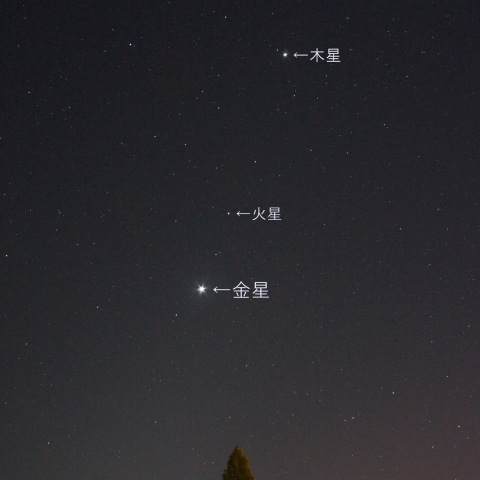 １１/１６　早朝の３惑星