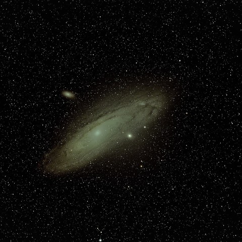 M31