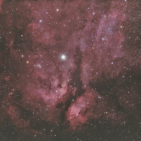 IC1318　はくちょう座γ星付近