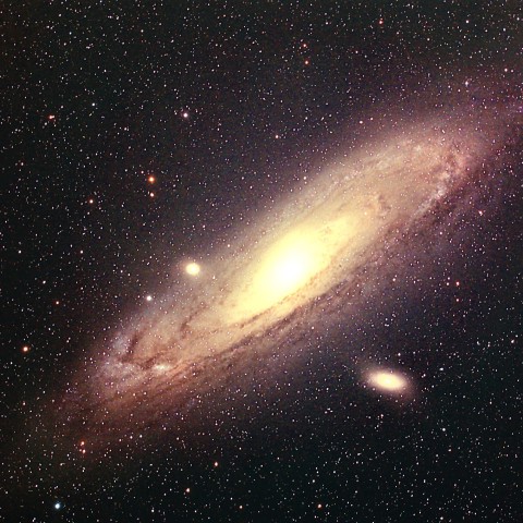 M31