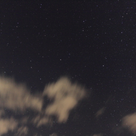 しし座流星群2009-2