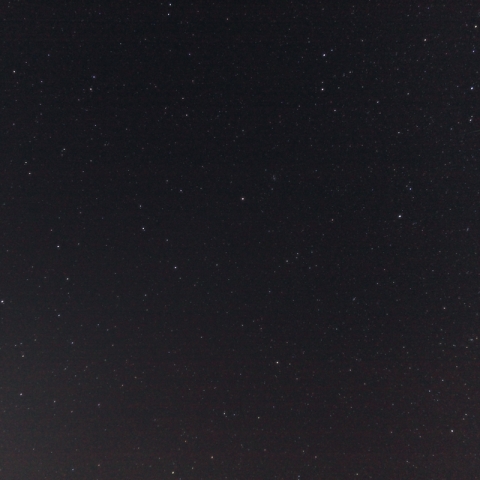 しし座流星群2009-03