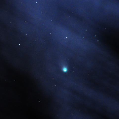 12P　枝越しのポン･ブルックス彗星 2024/04/02