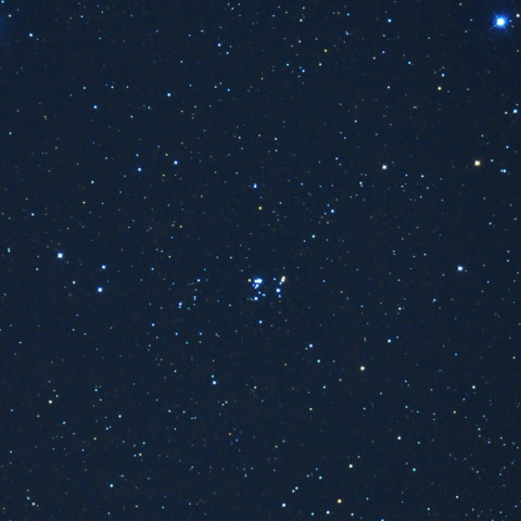 NGC2169 37星団 2024/04/02