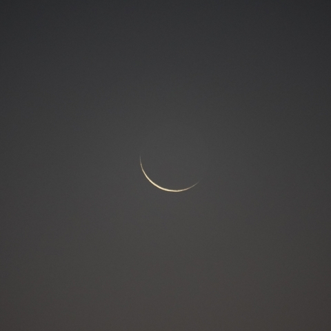 月齢28.1  202410/31