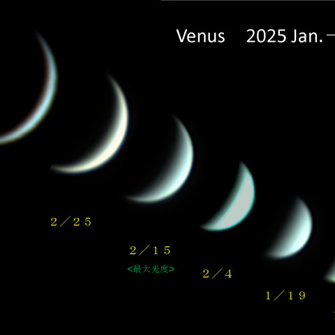 金星 2025 1月～3月
