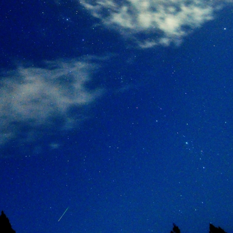 γ-Per群流星 2025/8/12