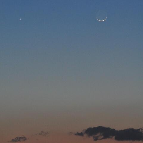 月齢1.3と金星 2026/3/20