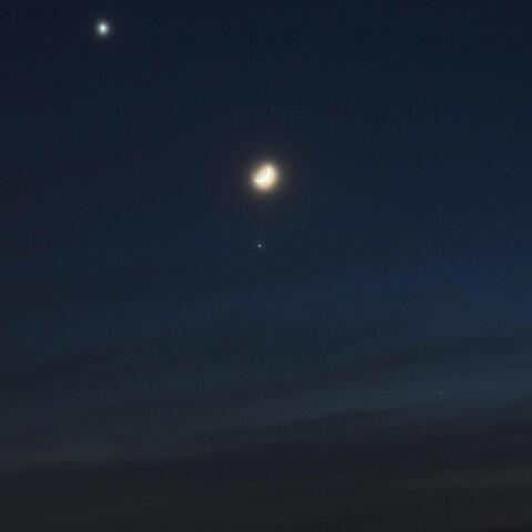 夕空の月と３惑星 2026/6/17