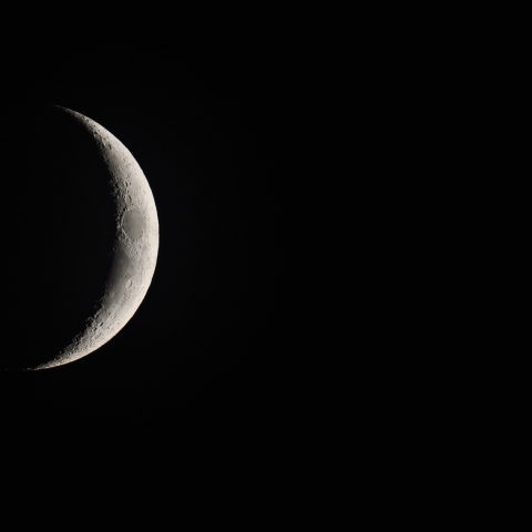 金星食後の月齢3.5と金星 2021/11/08