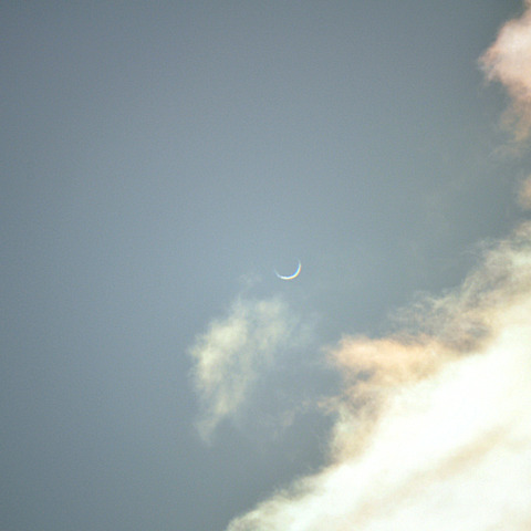 金星・内合１日前 2022/1/8