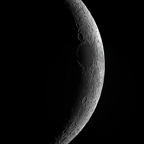 月齢2.9 2022/12/26