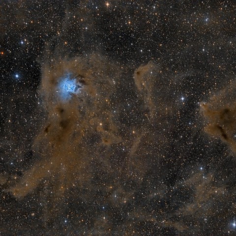 NGC7023 Iris Nebula and Molecular Clouds