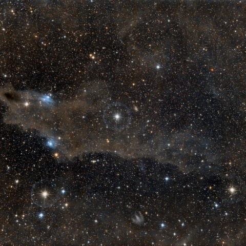 LDN1235 Shark Nebula