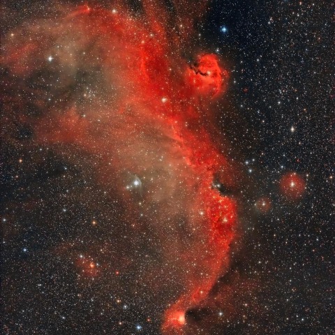 IC2177 Seagull Nebula