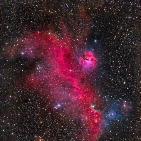 IC2177 Seagull Nebula