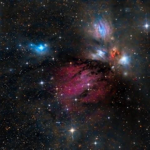 【美品】宇宙 天文 星空 写真集 Astronomy Photographer 103645: NGC2170 The Angel Nebula by バークレー - 天体写真